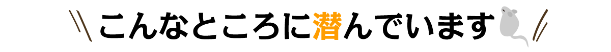 こんなところに潜んでいます