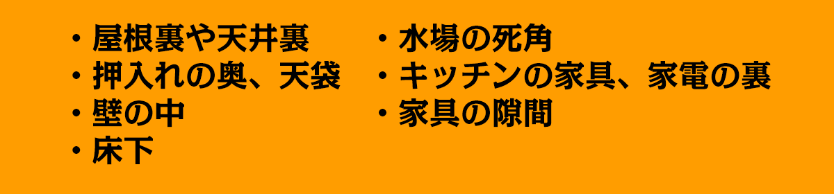 こんなところに潜んでいます