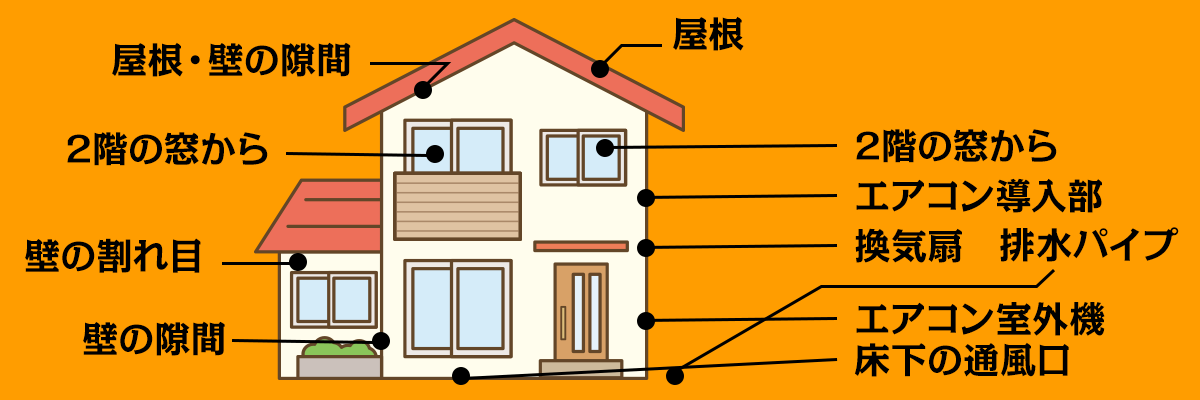 こんなところに潜んでいます